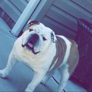 Meet your Posher, Ali